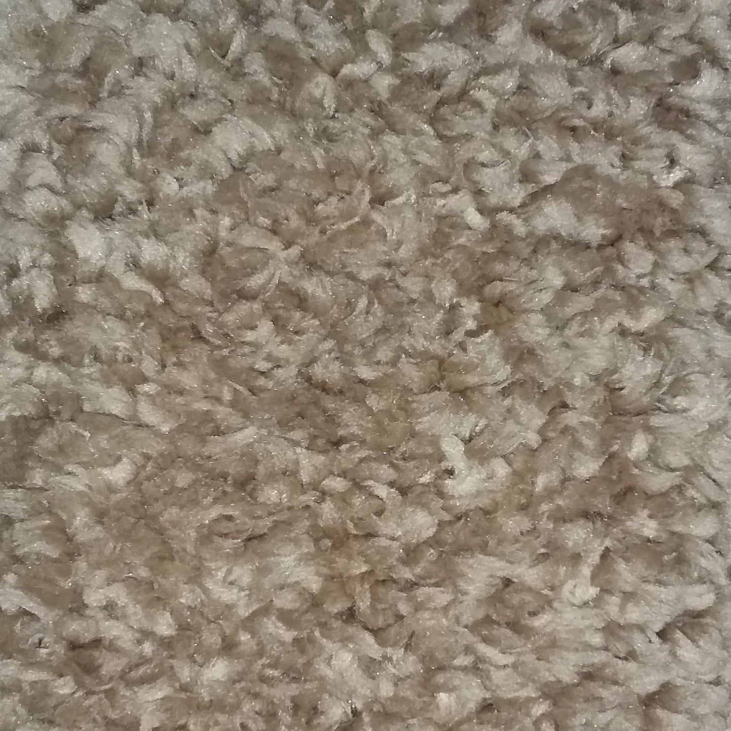 Cozy Dark Beige Shag Rug in Size 160cm x 220cm