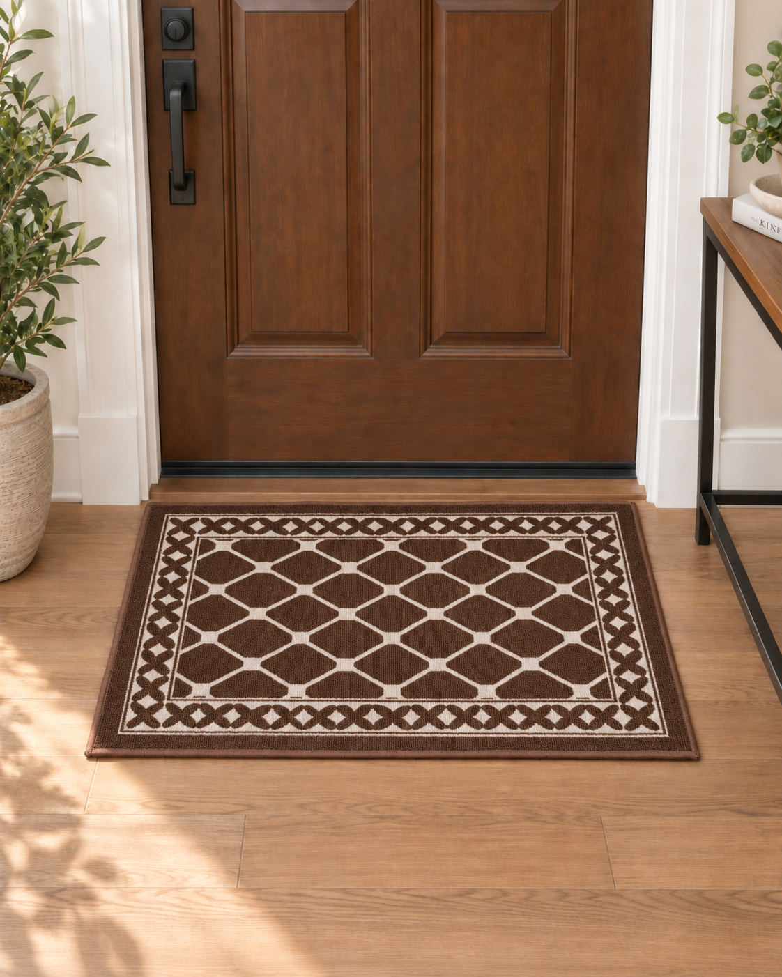 DM40 Ozzie Indoor Mat Brown