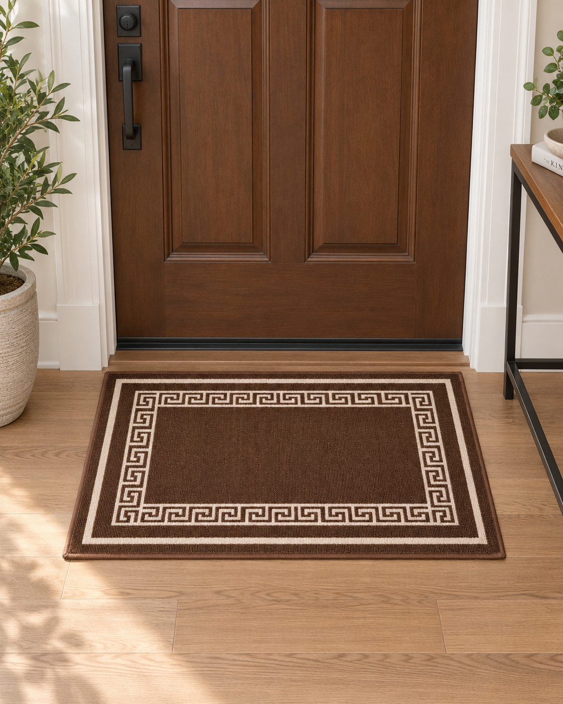 DM50 Ozzie Indoor Mat Brown