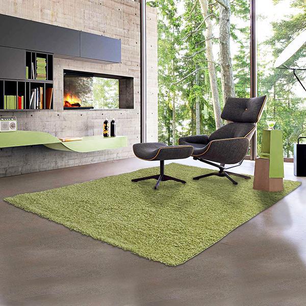 Green deals shag rug